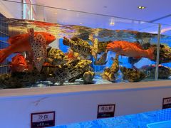 -金苑海鲜酒家(来魅力店)