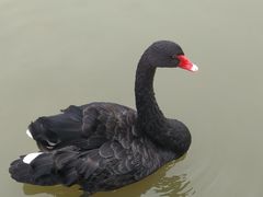 -武清南湖绿博园