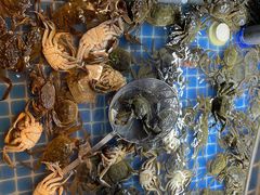 -星伦多自助料理·涮烤一体(虹悦城店)