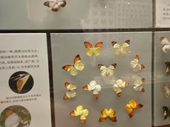 -天津自然博物馆