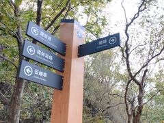 -阳台山自然风景区