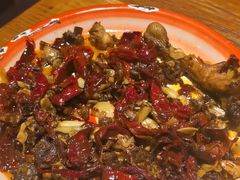 -柴窝堡22号辣子鸡·传承新疆菜