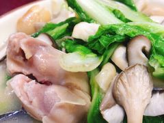 -易老妈蹄花.特色川菜(人民公园总店)