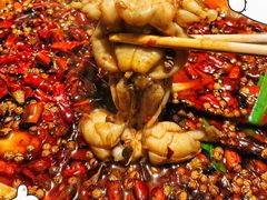 -宽口美蛙鱼头(大唐西市店)