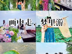 -白洋淀景区