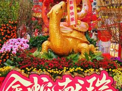 -越秀西湖花市(广州城市广场花卉店)