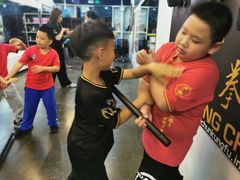 -温鉴良实用咏春拳