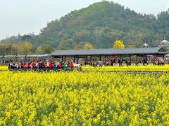 -红山村