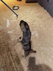 -酷嗒动物文化乐园(cutezoo西溪乐天城店)