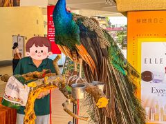 -王府井奥莱临潼小镇(临潼店)