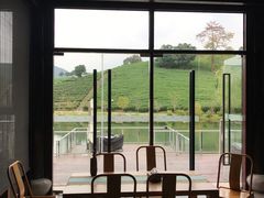 -帐篷客·溪龙茶谷度假酒店