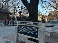 -北京石刻艺术博物馆(五塔寺)