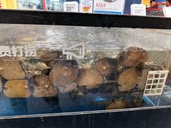 -盒马X会员店(王府井奥莱UP TOWN店)