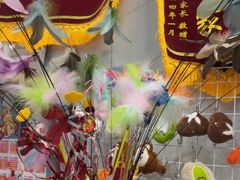 -半岛宠物医院24小时·内窥镜·牙科·碎石中心(府城大道店)