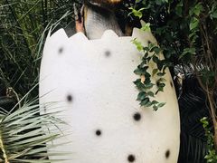 -呀路古热带植物园