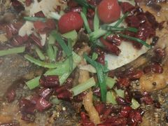 -老板恋上鱼(恒隆广场店)