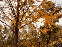 -北京鹫峰国家森林公园