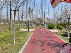 -黄海国家森林公园