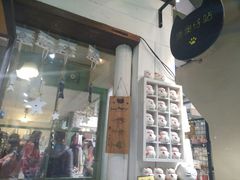 -猫咪博物馆(顶澳仔猫街店)