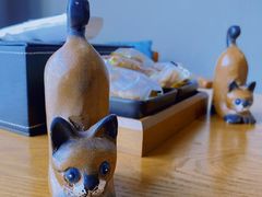 -梵猫·新养生(湛江鼎盛店)