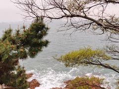 -青岛海滨风景区小青岛