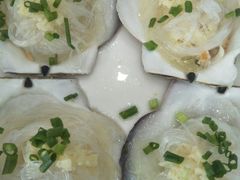 元贝-蚝专家
