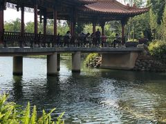 -洛龙公园