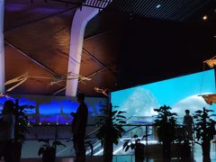 -贝林大翅鲸简餐厅(国家海洋博物馆店)