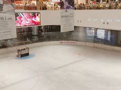 -TheRink大零溜冰场(IFS国金中心店)