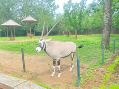 -大连森林动物园