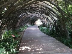 -广西壮族自治区药用植物园