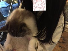 -月迷津渡(吾悦国际店)