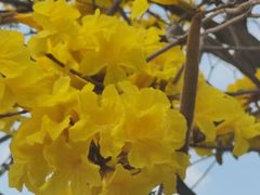 -小荔园·粤菜小馆(美的悦然广场店)
