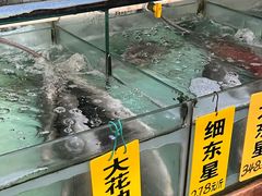 -寻味顺德·南记酒家·传统顺德菜·鱼生(广源路店)