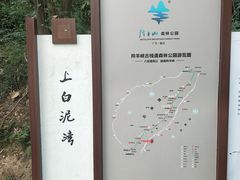 -羚羊峡古栈道森林公园