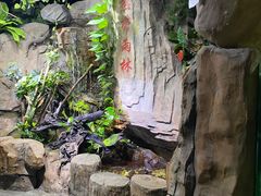 -嘉兴海底世界