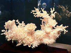 -中国国家博物馆