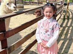 -盈香心动乐园