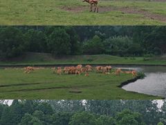 -溱湖国家湿地公园