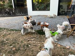 -J Create城市露营咖啡·简餐·宠物(上海动物园店)