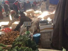 -重振华中蔬菜批发市场(重庆中路店)