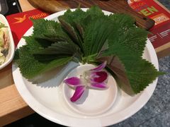 苏子叶-千纸鹤嫩汁烤肉(西大直街店)