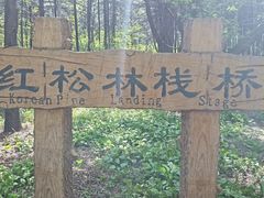 -沈阳植物园