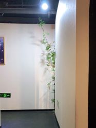 -盘子女人坊古装写真摄影(天津总店)