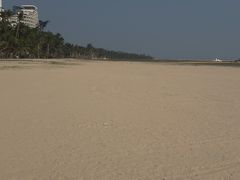 -东郊椰林