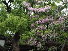 -吴山景区