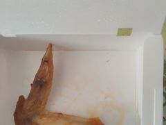 -达美乐比萨(回龙观店)