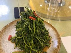 清香枸杞苗-国强手抓(北京西路店)