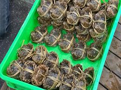 -火福·天湖阁大闸蟹博物馆主题餐厅(浅水湾店)
