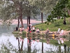 -马家湾湿地公园